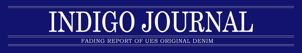 INDIGO JOUNAL